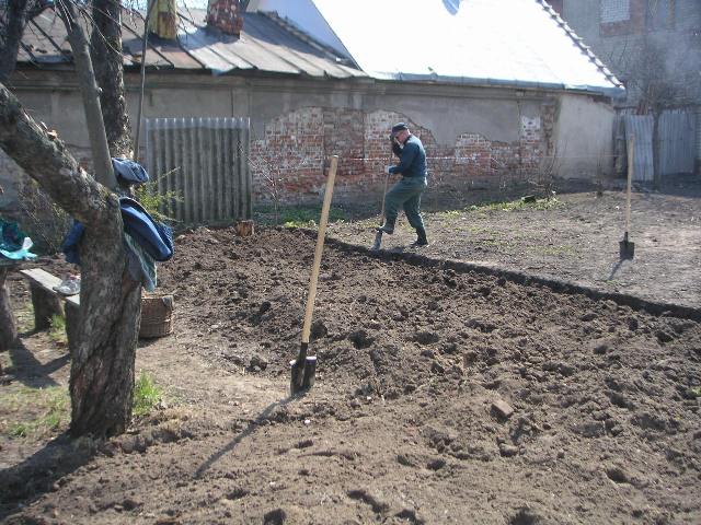 Planting grass