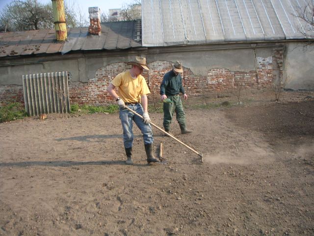 Planting