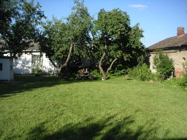 yard